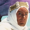 Peter O'Toole profilképe