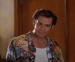 Jön az Ace Ventura 3! Tényleg!