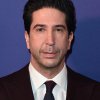 David Schwimmer profilképe