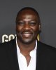 Adewale Akinnuoye-Agbaje profilképe